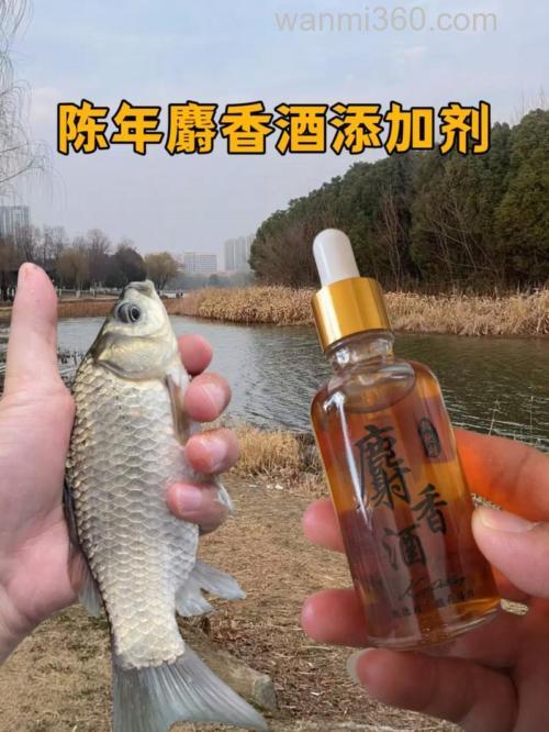 麝香酒要泡多久？