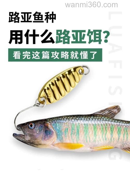 钓鱼用什么牌子的鱼饵好用