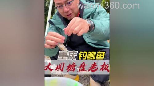 黑坑钓麻鲫?