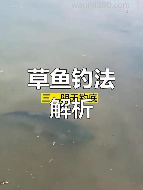 海竿钓草鱼钓浮还是钓底