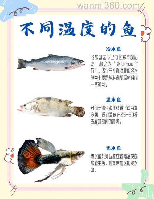 秋季气温17度鱼在深水还是浅水?