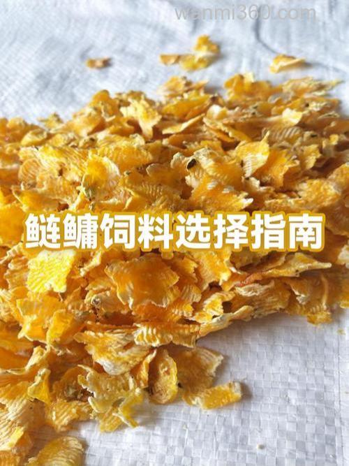 珠江里面怎么钓鲢鳙,用水雷好钓吗?用什么饲料?