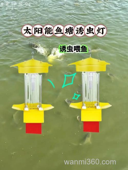 草鱼鱼塘适合诱虫灯喂鱼吗?