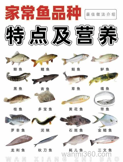 剩饭剩菜适合养什么鱼?