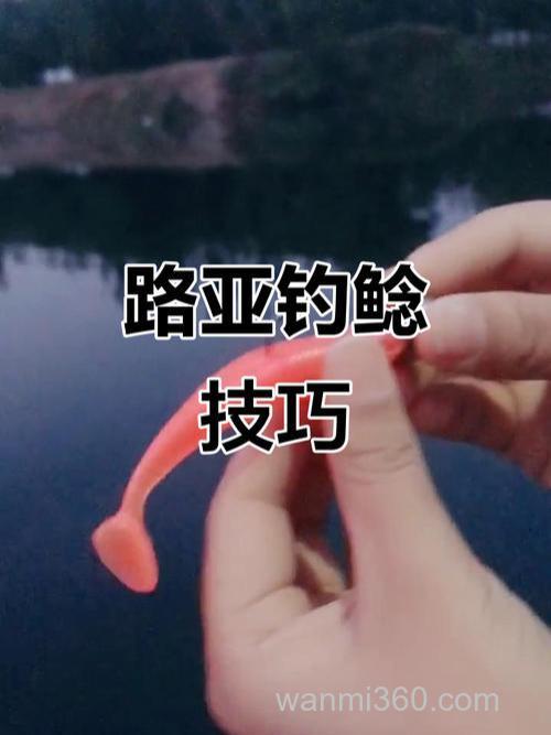 河流里用路亚钓鲶鱼用什么饵?