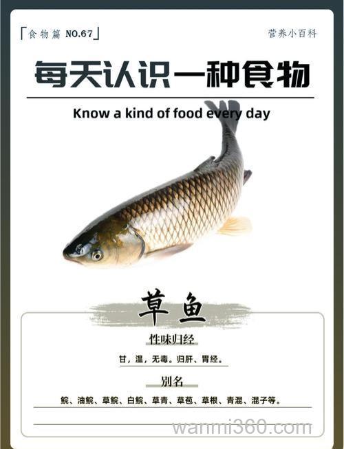 草鱼喜欢什么味?