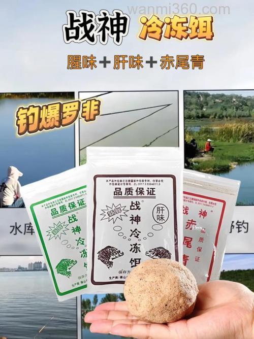 战神冻饵钓鲮鱼配方?