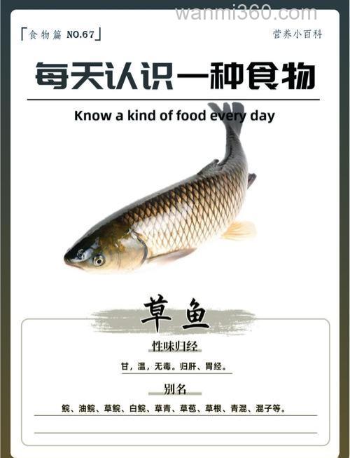 草鱼最喜欢吃什么鱼料