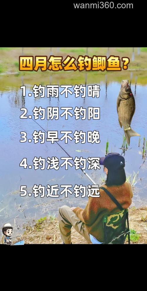 4月鲫鱼怎么钓