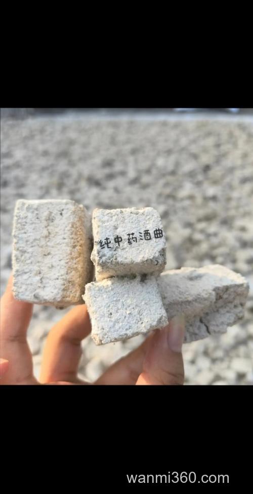 酒曲打窝效果怎么样？