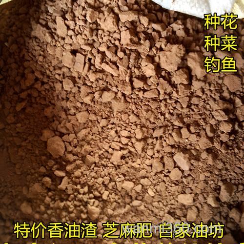钓鱼公定香油怎么做?