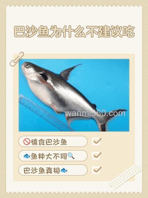 如果你吃了鱼不能吃什么?