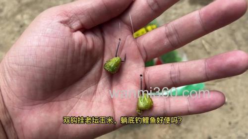 谷麦钓鲤鱼是一个钩还是两个钩?