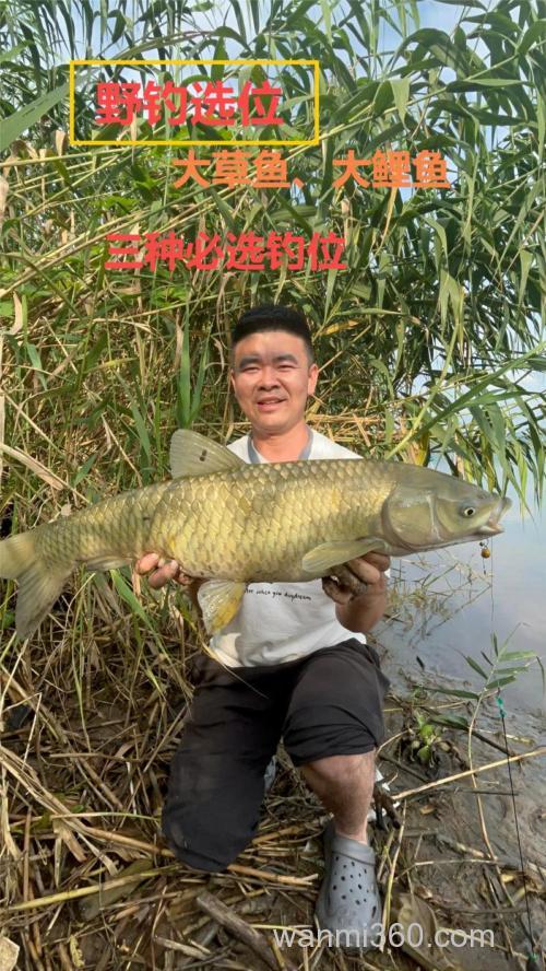 南方水库夏季钓草鱼和鲤鱼用什么钓?