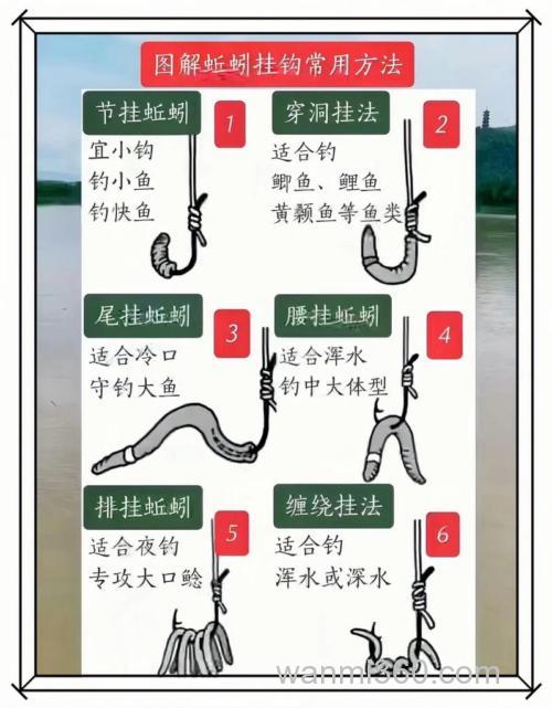蚯蚓钓鲤鱼的正确挂法？