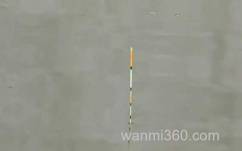 七月钓鱼_2