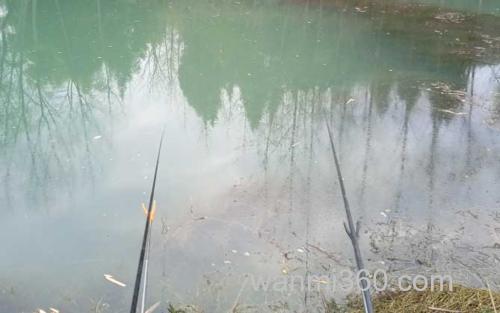 冬天钓鱼_1