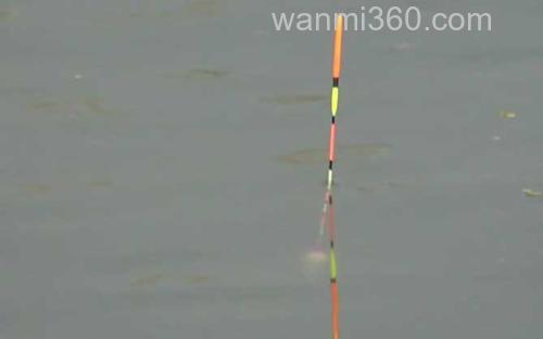 秋季钓鱼_3