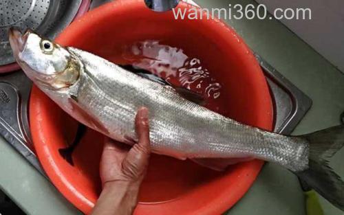 手竿钓翘嘴鱼_1