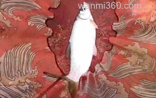 钓鲴鱼_0