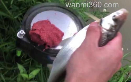 秋季钓鱼_4