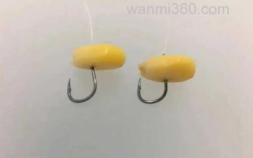 玉米_2