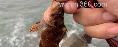 海钓_0