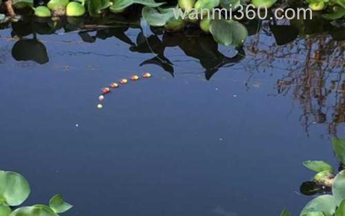 传统钓_1