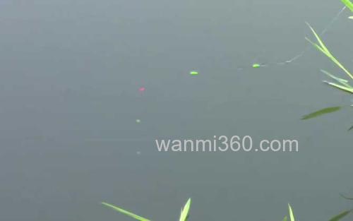初夏钓鱼_0
