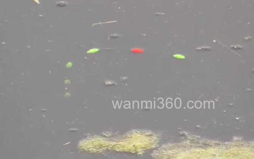 七星漂_1