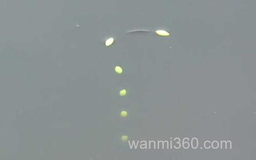 七星漂_2