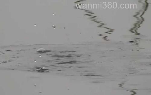 钓鱼_2