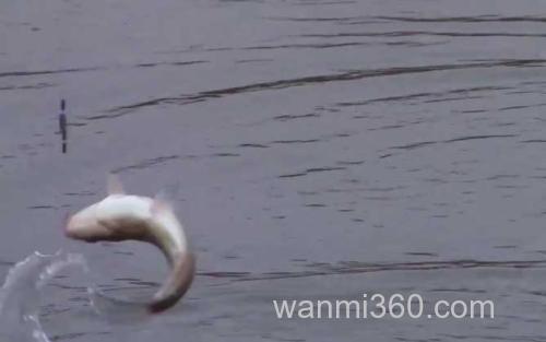 冬季钓鱼_1
