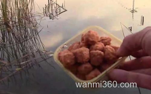 窝料_6