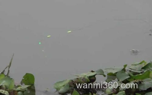 七星漂_1