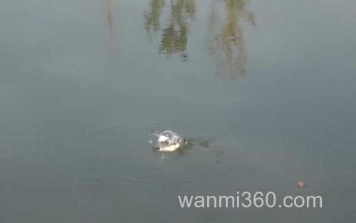 十月钓鱼_2