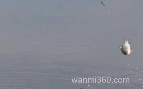 九月钓鱼_2