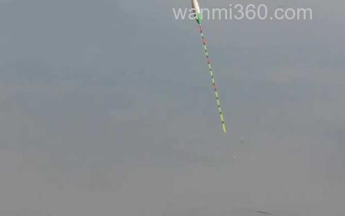 八月钓鱼_3
