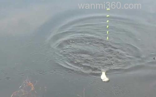 秋季钓鱼_3