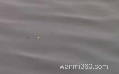 秋季钓鱼_1
