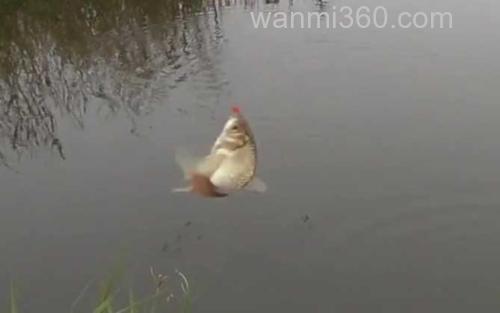 深秋钓鱼_3