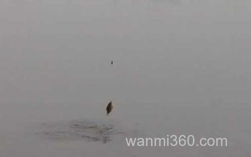 七月钓鱼_3