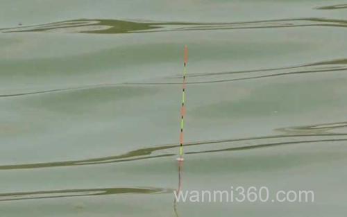 初夏钓鱼_3