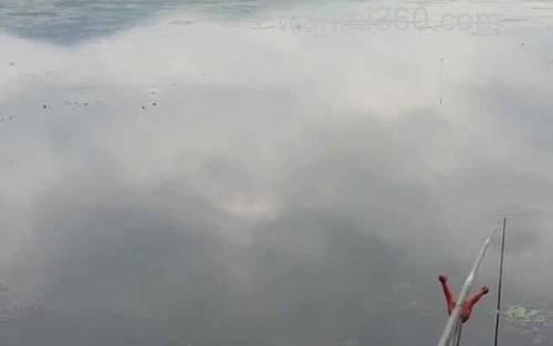 水库钓鱼_1