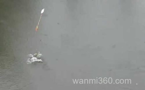 五月钓鱼_4
