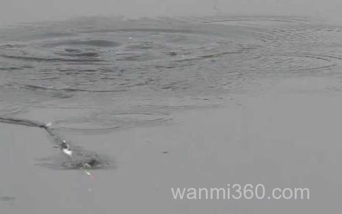 四月钓鱼_4