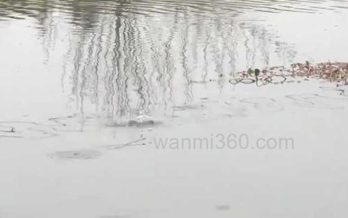 春季钓鱼_3