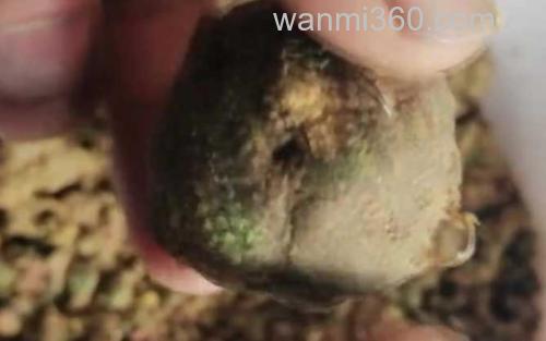 爆炸钩_3