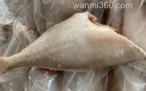 剥皮鱼_2