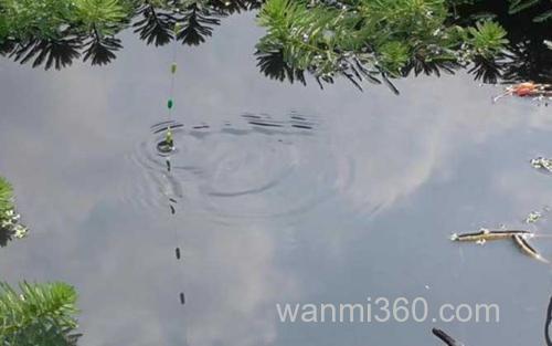钓鱼_1